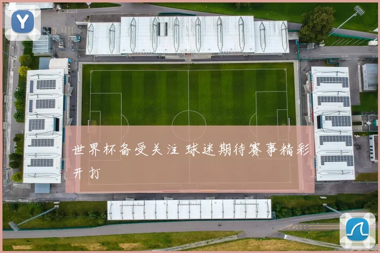 世界杯备受关注 球迷期待赛事精彩开打