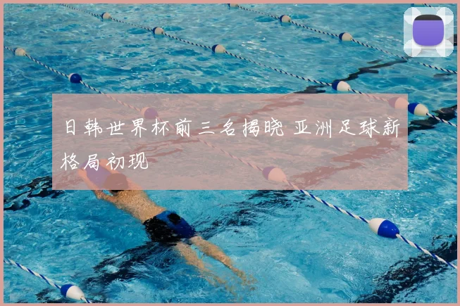 日韩世界杯前三名揭晓 亚洲足球新格局初现