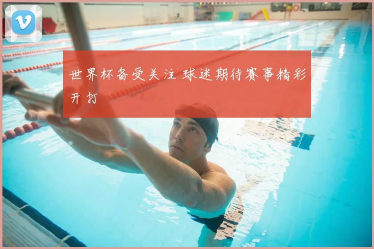 世界杯备受关注 球迷期待赛事精彩开打