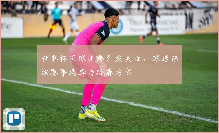 世界杯买球去哪引发关注，球迷热议赛事选择与观赛方式