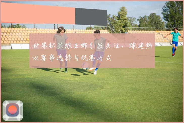 世界杯买球去哪引发关注，球迷热议赛事选择与观赛方式