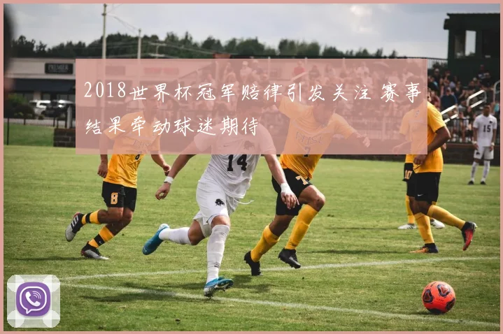 2018世界杯冠军赔律引发关注 赛事结果牵动球迷期待