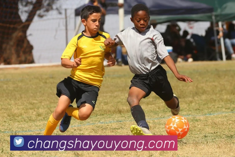 江南jn体育官网平台生态图