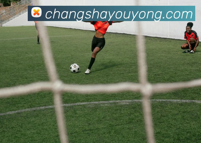 江南jn体育官网全站App